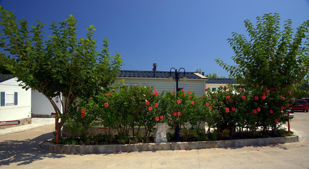 Camping Los Pinos Peñíscola Extérieur photo