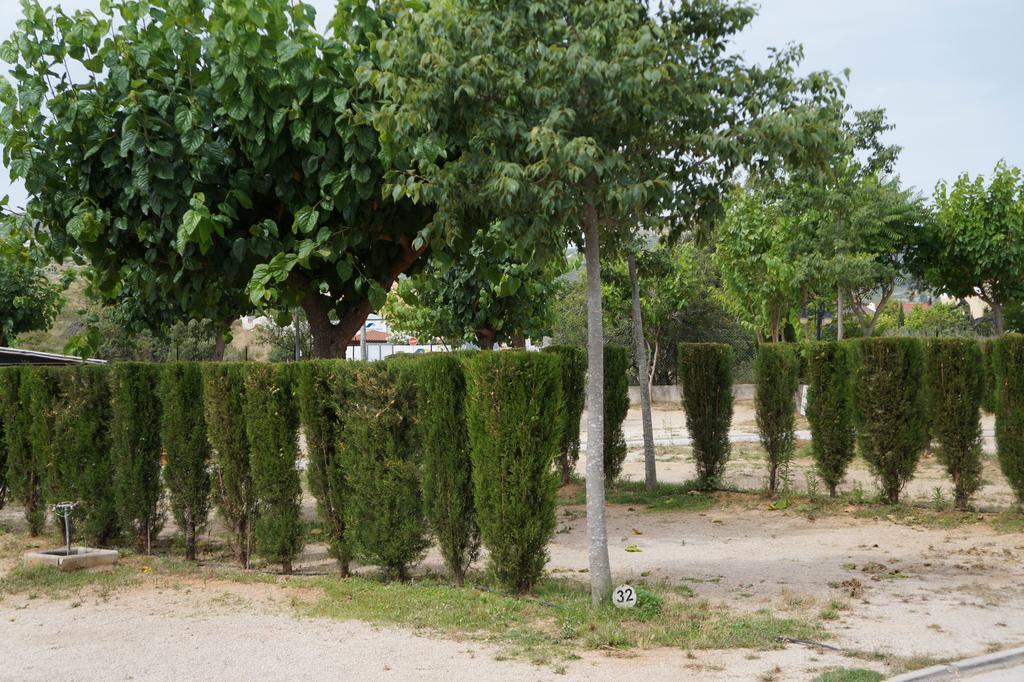 Camping Los Pinos Peñíscola Extérieur photo